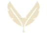 VisanaGroup